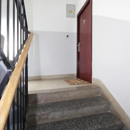 Bizjak